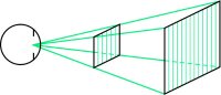 Fig. S8 Objects of different size seen in the same direction and with the same angular size stimulate the same retinal points and thus have the same apparent size