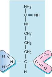 Chemical structure of arginine