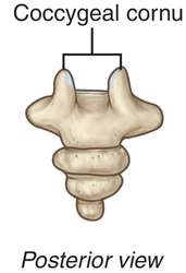 Image Result For Three Definition Of Three By The Free Dictionary Image Result For Three Definition Of Three By The Free Dictionary