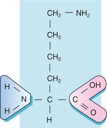 Refractory Metabolic Acidosis Definition