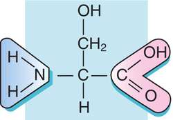 Chemical structure of serine