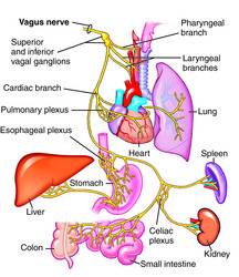 Considering LAP BAND OR VSG maybe gastric bypass