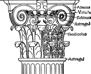 Image result for caulicole architecture