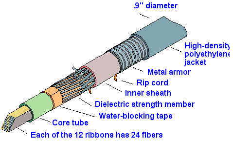 This Lucent fiber-optic cable holds 288 fibers, which was a record-high 