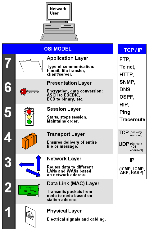 OSI Model & TCP/IP