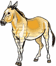 onager