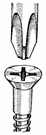 Phillips screw