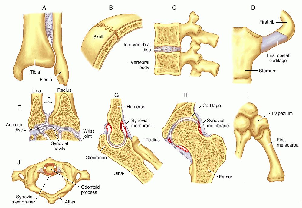 full-size-picture-joint-jpg