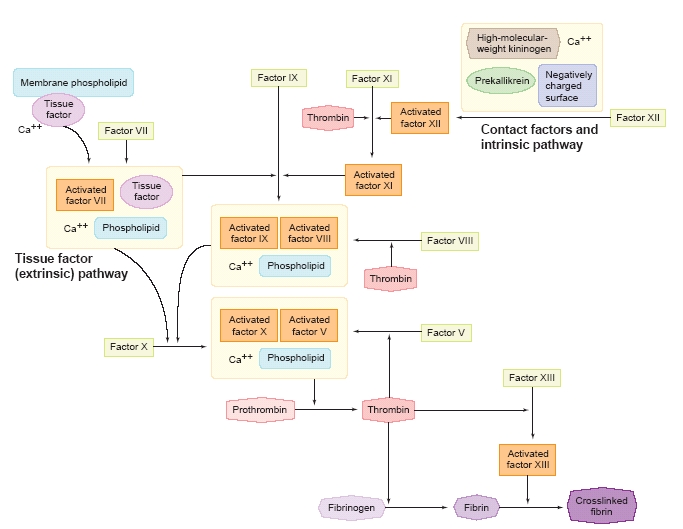 download sec guidance for managements discussion and analysis