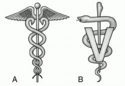 Military Medical Insignia