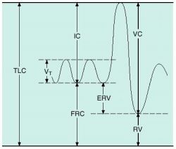 functional residual volume