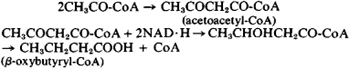 alcohol fermentation.