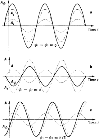 oscillatory phase coherence