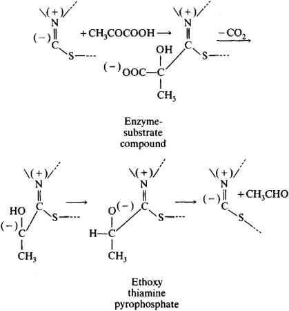 enzyme substrate complex. enzyme-substrate complex.