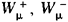 Elementary Particles