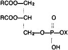Lipids