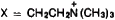 Lipids