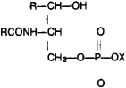 Lipids