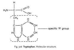 Tryptophan