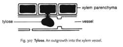 Tylose