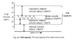 Vital capacity