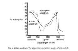 spectra definition in science
