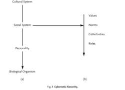 Cybernetic hierarchy