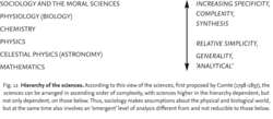 Hierarchy of the sciences
