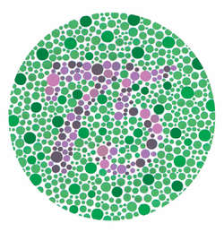 Blue Green Color Blindness 28