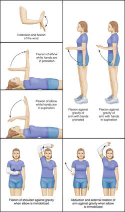 passive range of motion shoulder