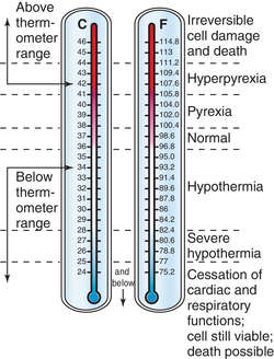 Average Oral Temperature 84