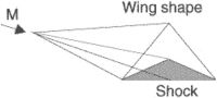 caret wing