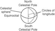 circle of longitude