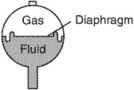 diaphragm