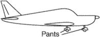 pants