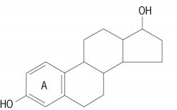 Estranes definition of Estranes in the Free Online Encyclopedia. Estranes definition of Estranes in the Free Online Encyclopedia.