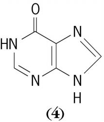 Define Nucleotide