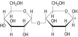 Maltose Molecule Structure