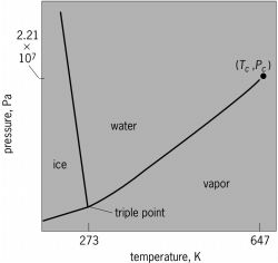 Sample Phase Diagram