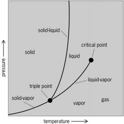 Portion of equilibrium surface projected on pressure-temperature ( P - T ) plane