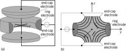 Radio-frequency Paul trap consisting of two end caps and a ring electrode