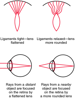 eye for an eye definition