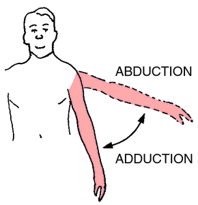 Adduction | definition of adduction by Medical dictionary
