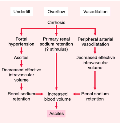 Ascites Salt Restricted Diet Foods