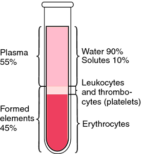 Blood volume | definition of blood volume by Medical dictionary