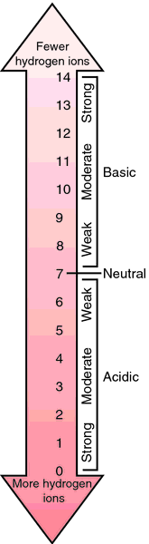 ph scale  definition