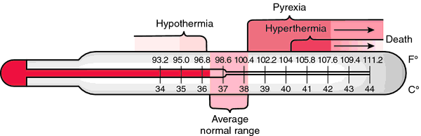 Clinical Thermometer Definition Of Clinical Thermometer By Medical 