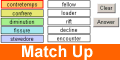 Match Up