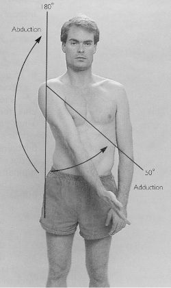 Adduction Vs Abduction