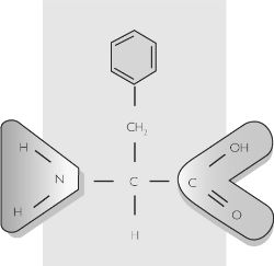 D Phenylalanine